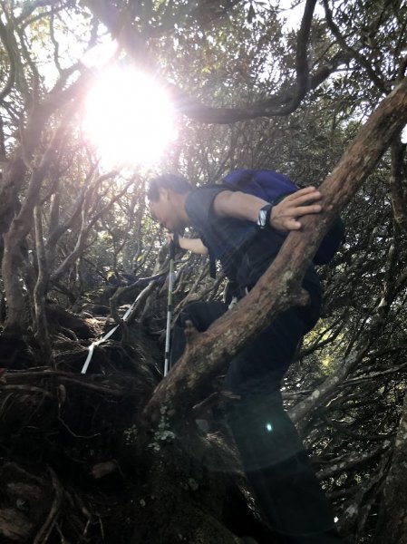 高島縱走（高台山連走島田山）202105081968737
