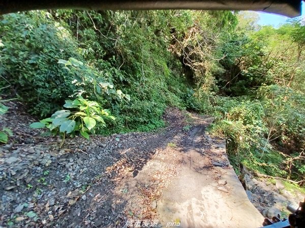 【台東。大武】一路搖晃碰碰車。小百岳集起來。  編號95小百岳-加奈美山步道1640907