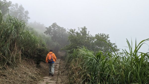 112.06.03風櫃嘴-頂山-石梯嶺-擎天崗東峰-頂山西南峰2172365