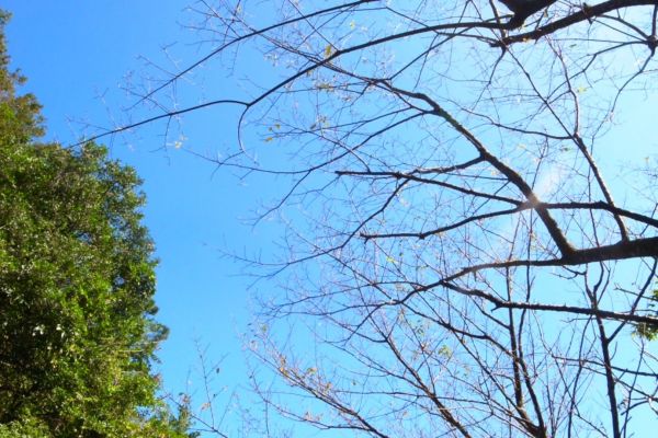 雷隱橋頂湖山O型走中正山觀景台(舊照片)393042
