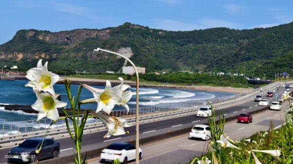 #金山清水溪  #石牆蝶 #國聖涼亭 #百合草原 #八里華富山路 #淡江大橋 5/163055953