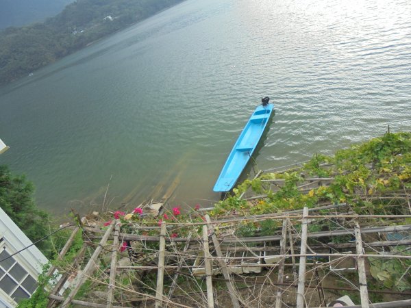   石門水庫薑母島1208744