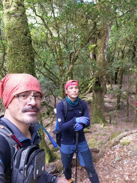 🥵20231107南一段會繞過🤷忘記的溪南山2340092