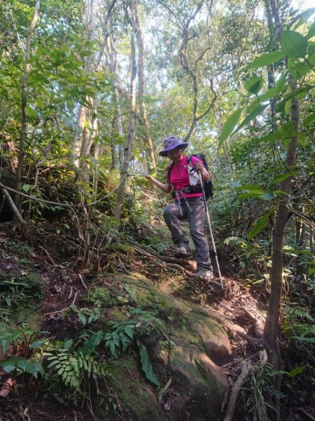 四分子古道、月扇湖山大岩壁O走1291881