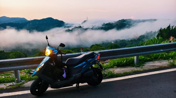 石碇趴趴走追雲趣 #二格山 #雲瀑 #藍腹鷴母鳥 #雲海流瀑 #霧虹 5/172788208