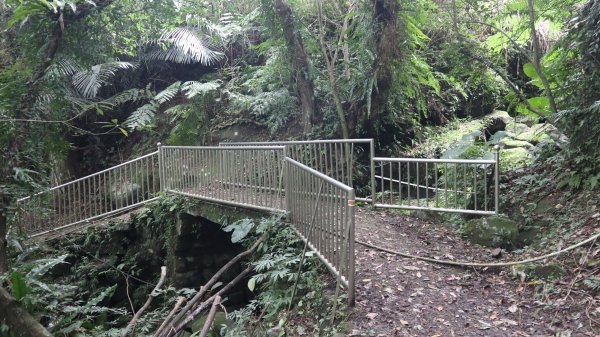 獵貍尖步道連走烏塗溪步道登山健行趣(淡蘭南路TK3-6&TK3-5&TK3-4)2404521