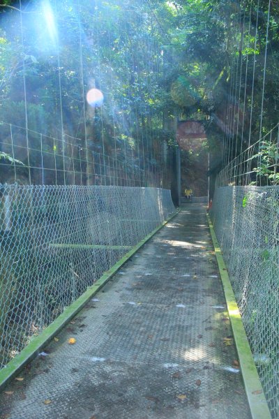 台南虎形山公園步道202009191159494