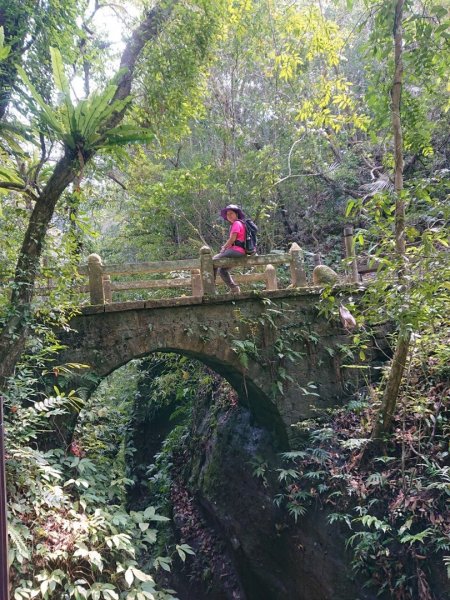 猿山、獅頭山O走1658139