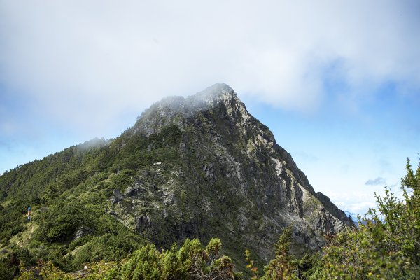 南一段大關山盡覽2541971