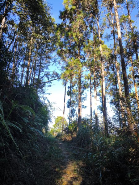 2025-12-21 武界山、獅凸魯山、橫屏山、橫屏山西峰2969715