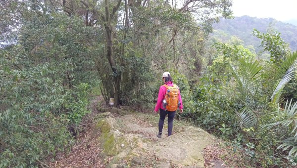 (姨婆趴趴走)第四十七集:新北土城大暖坑山等諸峰攀登連走2738768