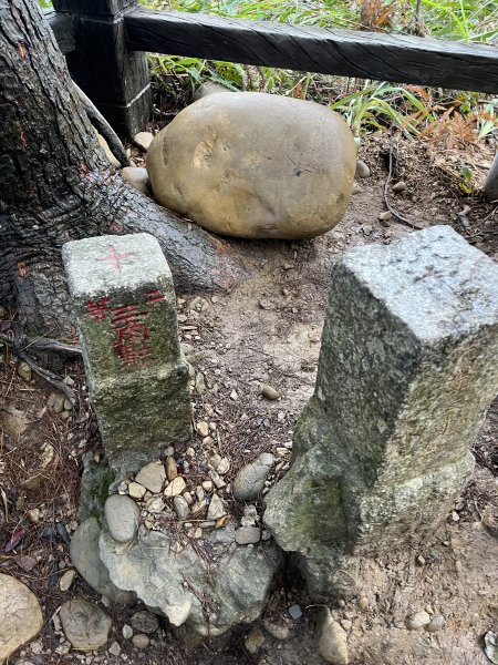 頭嵙山 大坑步道1880334