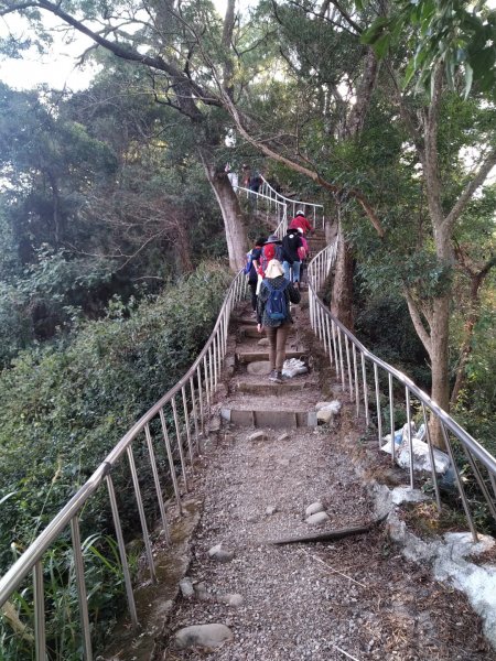 鼓山尖峰泡茶趣---田中森林登山步道811524