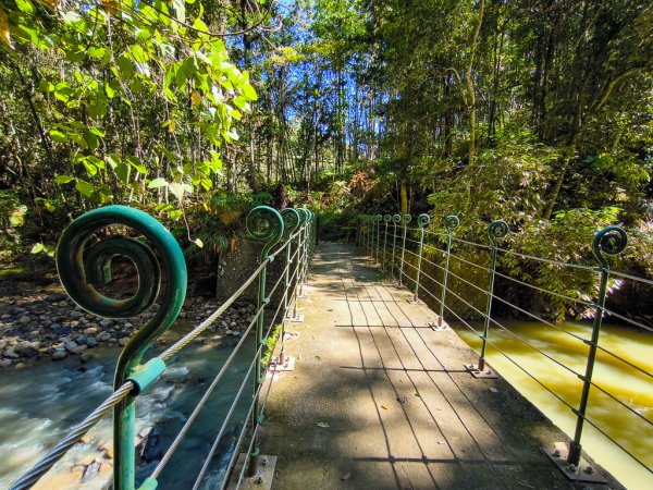 2024-08-22 澀水森林步道2578382