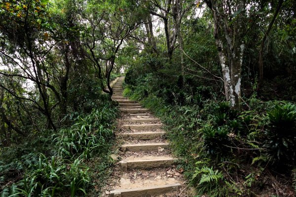 南勢角山｜烘爐地小百岳2892075