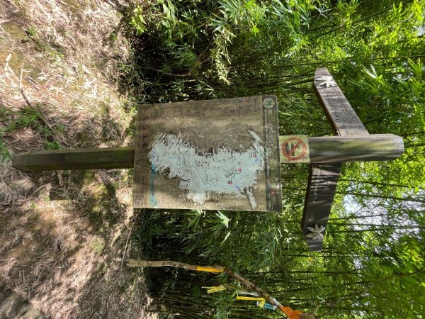 20230821_烏山-外澳古道2762702