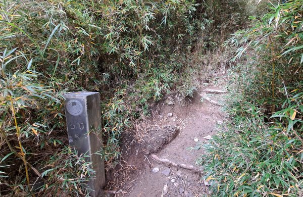 合歡西峰單攻1216887