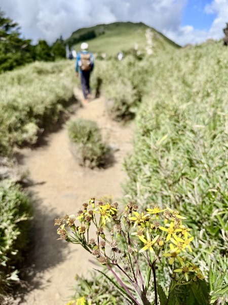 石門山散步趣  恩仔2025.10.152923133