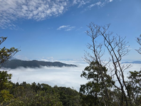 蝶夢八唐（裡冷登山口往返）八仙山出雲海下山順賞富士櫻2722712