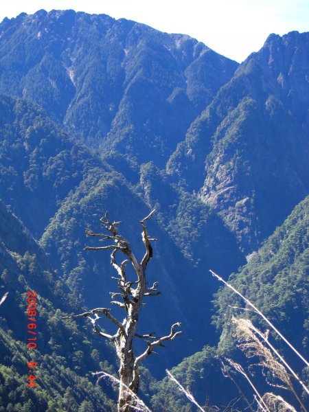 玉山暨阿里山之旅200806091954476