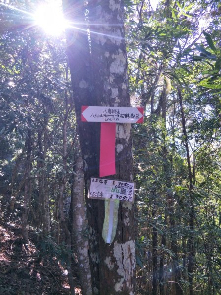 谷關七雄：八唐縱走(八仙山、唐麻丹山)1507574