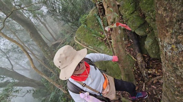 馬武督山西南峰+馬武督山O型走3012861