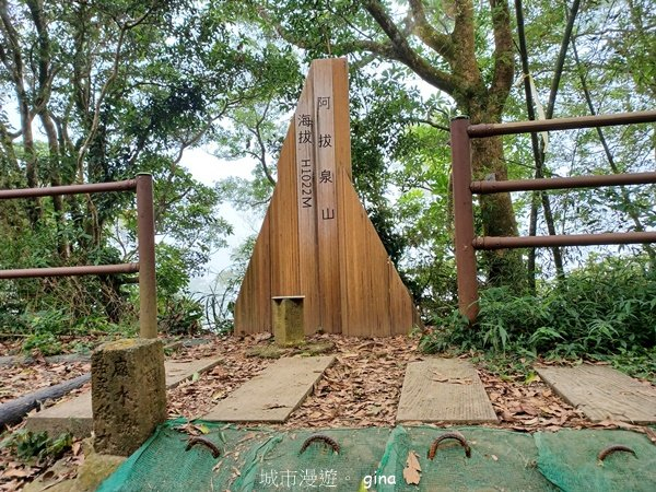 【嘉義竹崎】說好的稜線風景呢。阿拔泉山稜線步道連走獨立山O繞