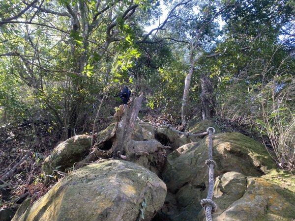 2025微笑山線大縱走尋寶集章任務-Ep.04【天上山系】望月亭桐花段｜石門內尖山東峰 ×石門內尖山2979159