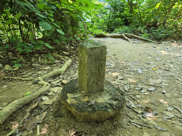 蘭潭後山步道、紅毛埤山（小百岳）2606385