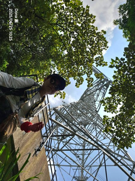 大溪大九芎步道上小百岳溪洲山(H577m)2844304