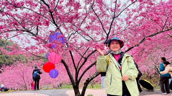🌈3/1（日）福壽山農場~千櫻園✨FB：熊熊趴爬走🌈3008553