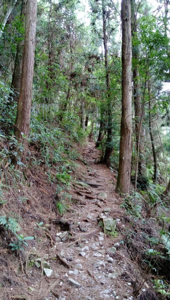 馬崙山147273