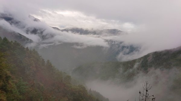 玉山前鋒/玉山北峰/玉山主峰2458475