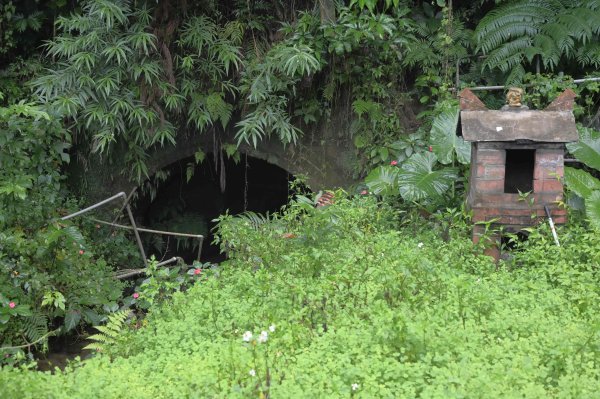 20251202松山療養所所長宿舍-新庄仔埤賞鳥平台-松山二坑-松山煤礦-松山機場觀景台2952813