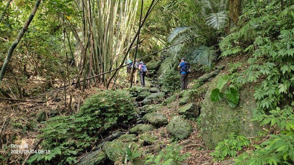 頭城農場→梗枋百年古道→坪溪古道→象寮古道→石空古道→石空山→岩藏山O型3097578