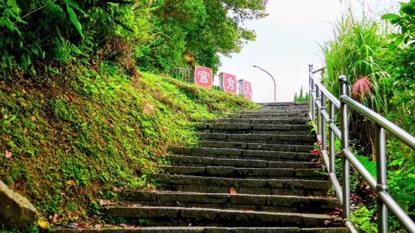 你若來汐止2961402