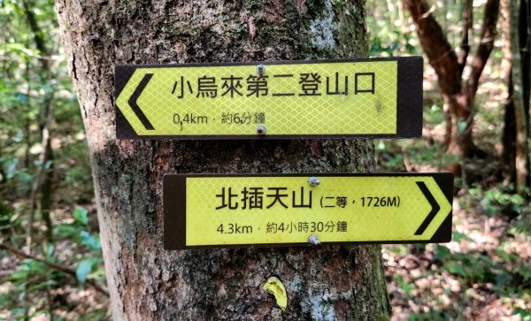 【中級山】插天山的奇幻世界，赫威山，赫威神木群步道2741310