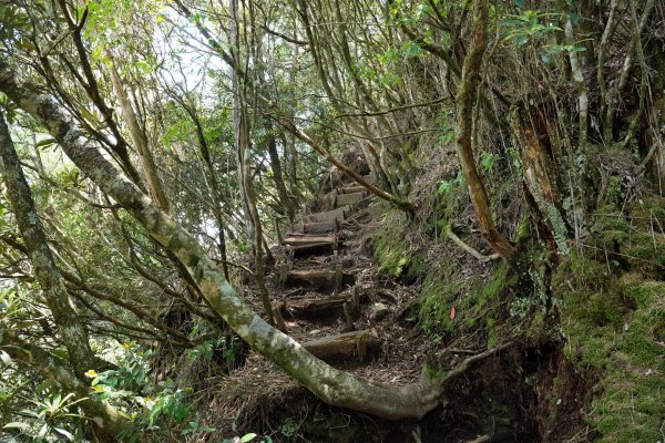 台中 和平 馬崙山2796979