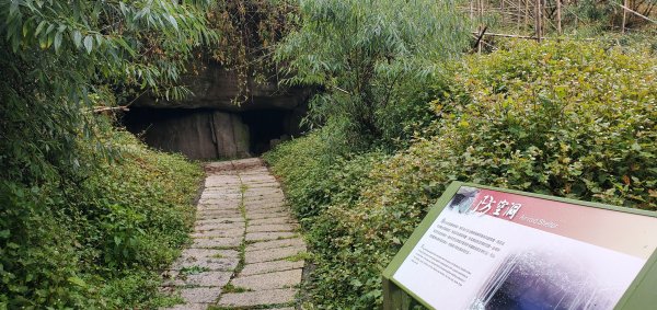 2025-01-18頂湖步道2694205