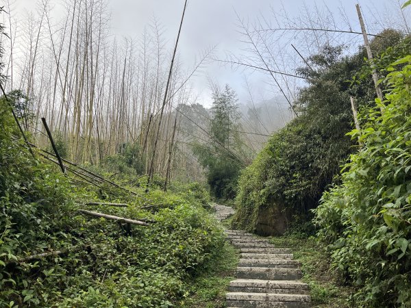 [嘉遊好步道．來嘉走走-04/10] 2024_1011 阿里山頂湖步道2624701