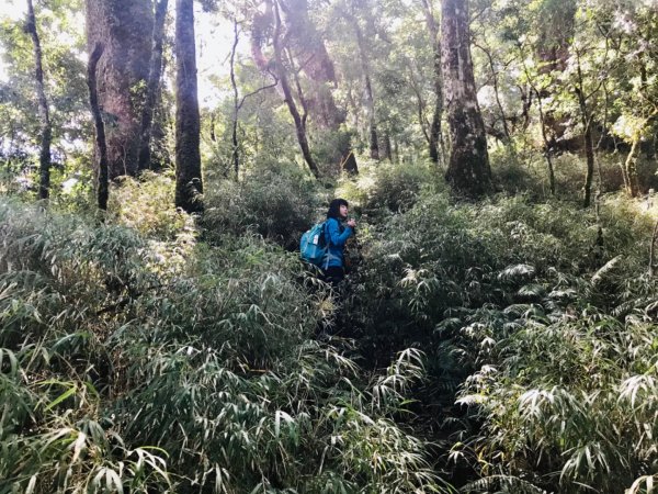 【新竹尖石鄉】基那吉山868491