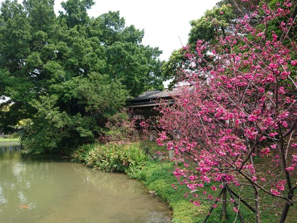 新竹公園-枕頭山871675