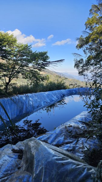 【走進望鄉部落，抬頭就見玉山】獵人古道之望美山、瓊山O繞16K。2972266