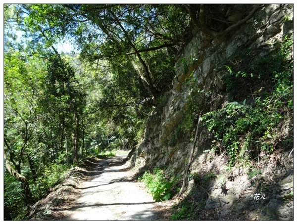 沙蓮山西南峰、砂連山連走(台中/和平)1664182