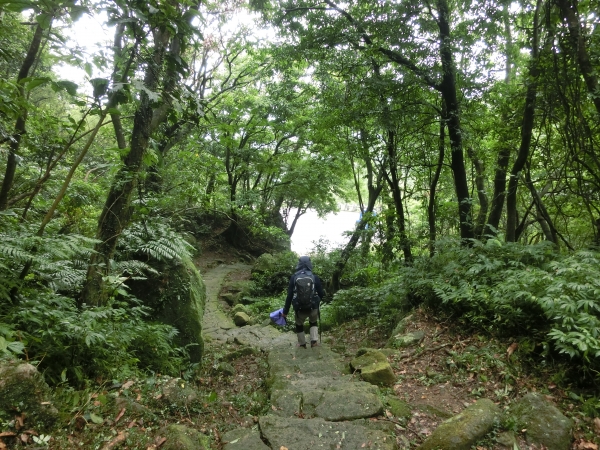 石梯嶺．頂山．風櫃嘴95058