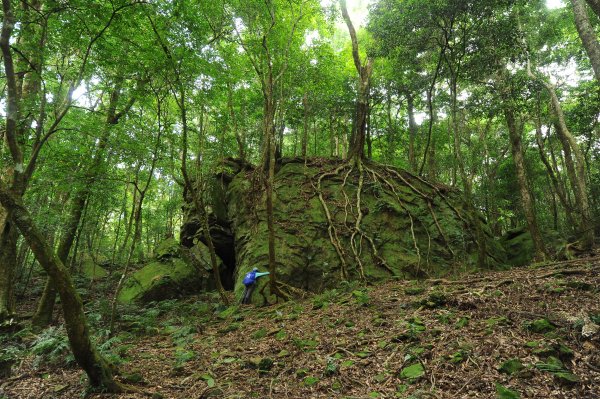 很離譜的驚艷 again & again 加里前山隘勇線 2022 D1030 谷間分遣所 -大湳石壁 -石底分遣所-大園分遣所-一水分遣所