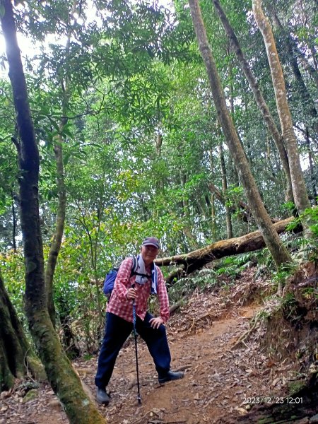 四訪苗栗的花果山-小百岳#037馬那邦山、雪霸國家公園管理處【小百岳集起來、苗栗-臺灣百大必訪步道】2394335