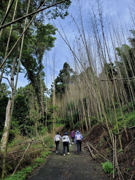 大凍山步道2235064