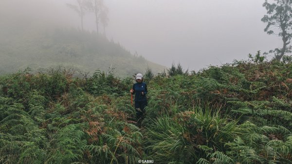 【海外健行】黯然消魂的火山攀登：龍目之巔林賈尼火山2823233