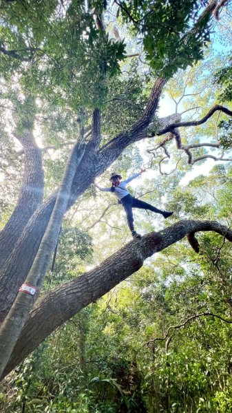 20251222竹東三山步道O型連走(樹杞林山、新具庄山、員崠子山)2975774